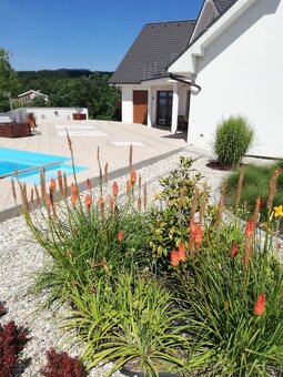 Vila s veľkým pozemkom pod lesom - 9