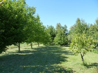 Predaj, dom, pozemok, usadlosť, Rastislavice - 9