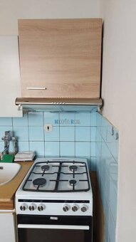 MAXFIN REAL - EXKLUZÍVNE - Prenájom VÝCHODNEJ IZBY v 3iz.by - 9