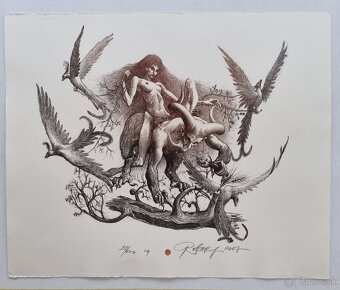 Predám grafiky-od rôznych autorov. - 9