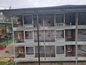 Hlinikové voliéry,klietky pre papagáje - 9