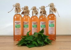 ZÁZVOROVÝ sirup 2025. - 9