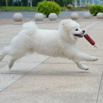 Hračka žuvacia – Tri špekačky pre stredné a veľké plemená - 9