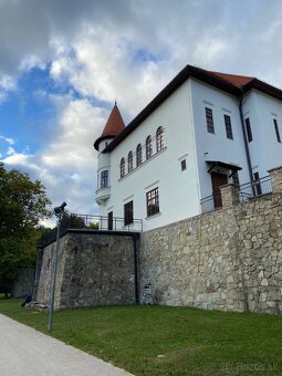 Opatrovanie/animovanie detí, seniorov a ZŤP/ŤZP - 9