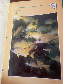 ENCYKLOPÉDIA ZVIERAT – KOMPLET 7 ŠANÓNOV – Pavel Auda - 9