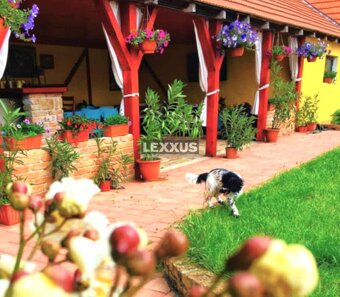 | exkluzívna vidiecka rodinná usadlosť, Lučenec. - 9