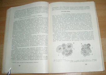 Výživa a kŕmenie včelstiev - 9