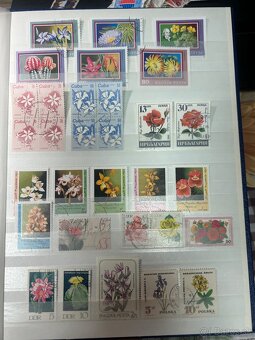 Námetová zbierka kvety - 9