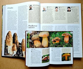 HUBY - VEĽKÁ ENCYKLOPÉDIA - 9