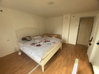 Rodinný dom 5-izbový s veľkým pozemkom vo výmere 2375 m2 - 9