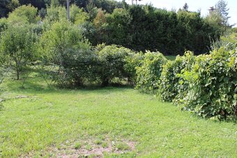 Na predaj záhradná chatka – Lučenec, 10. záhradkárska osada - 9