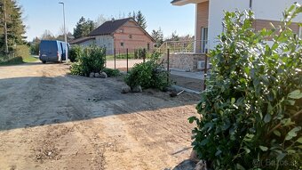 Tuja Smaragd, vavrínovec, červienka - Poprad - 9