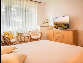 ALL INCLUSIVE | NA PRENÁJOM 1,5-IZBOVÝ BYT S PIVNICOU, ČÍČOV - 9