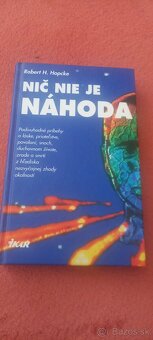 Z kvetov zla - Ch.Baudelaire, Bezák, Nič nie je náhoda - 9