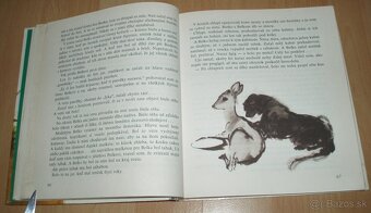 Z poľovníckej kapsy - 9