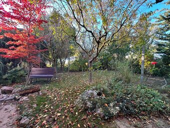 Záhradka so zateplenou chatkou a velkým pozemkom - 9