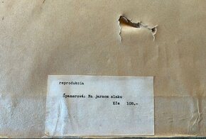 Retro obraz Na jarnom slnku, makramé... - 9