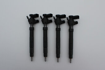 VSTREKOVACIE TRYSKY DELPHI - 9