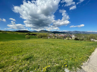 Pôvodný RD so stavebným pozemkom a prístupovou cestou - 9