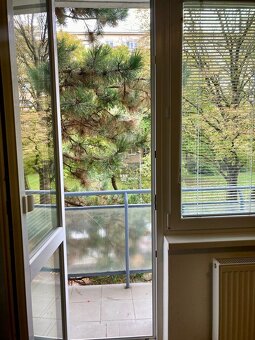 Na prenájom zrekonštruovaný, zariadený 2-izbový byt v tichej - 9