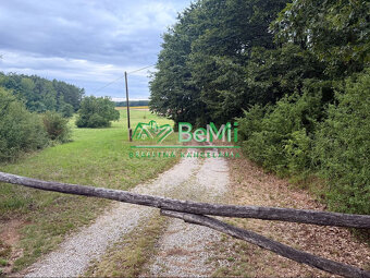 EXKLUZÍVNE– Usadlosť s rekreačným pozemkom 018-014-MIKU - 9