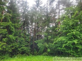 Rekreačný pozemok uprostred lesa pri Považskej Bystrici - 9