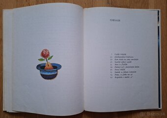 Kam chodia na zimu zmrzlinari - 9