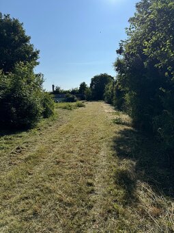 Kosenie veľkých plôch krovinorezom,traktorom,mulčovanie. - 9