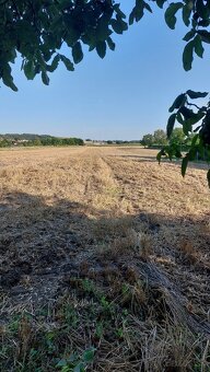 Rodinný dom na predaj s rozsiahlym pozemkom, Dvorniky - 9