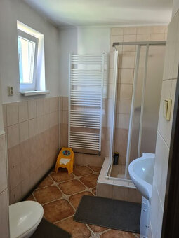 Zaujímavá väčšia nehnuteľnosť na bývanie, podnikanie, prípad - 9