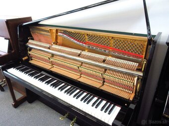 luxusný Steinway and Sons pre solventných - 9