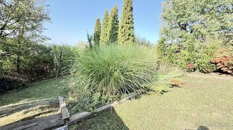 MAĎARSKO - JAZERO RAKACA - 4 IZBOVÁ CHATA, TERASA, VÍRIVKA. - 9