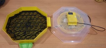 Automatická Liaheň na vajcia CLEO 5 DTH AUTOMATIC - 9