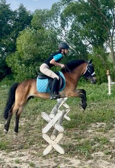 Sportovy pony - 9