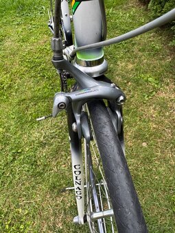 Colnago Tecnos Art Decor - 9