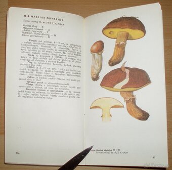 Naše huby - 9