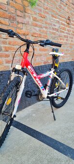 Ctm 24" willy - 9
