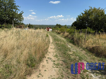 Romantická záhrada s panoramatickým výhľadom na Modru 🌿 - 9