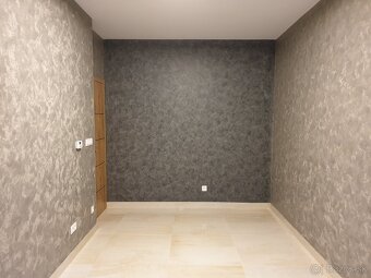 Dekoratívne stierky, mikrocement, benátsky štuk. - 9