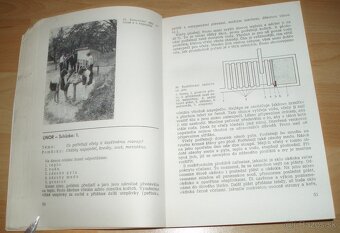 Učíme se včelařit - 9