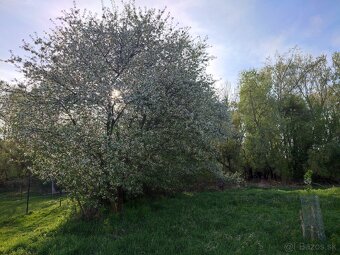 Stavebný pozemok so záhradou a lesom, 2716m2 - 9