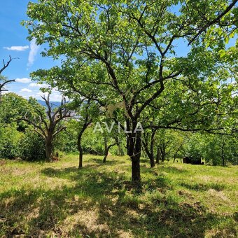Na predaj rekreačný pozemok 2 920 m², Nové Mesto nad VáhomLo - 9