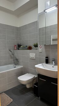 1- izb. byt s predzáhradkou v 1. etape projektu Kamence, Kys - 9