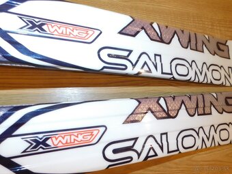 Salomon 172cm - 9