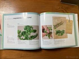 Kuchařky, různé knihy o vaření - 9