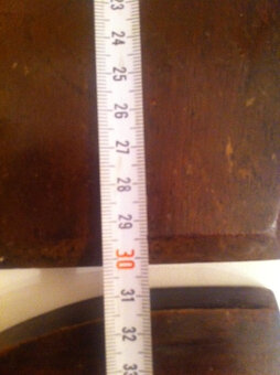 Trofej parohy - jeleň a srnec-znížená cena - 9