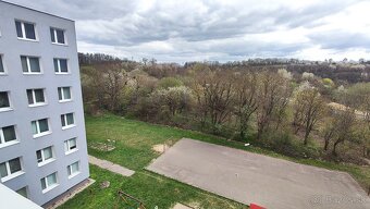 Slnečný 2 izbový byt s nádhernym vyhľadom na les,zariadený - 9