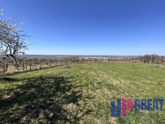Pozemok s nádherným výhľadom na Skalicu–vinohrad so sklepom - 9