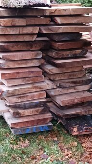 Dubove forsty dubove rezivo - 9