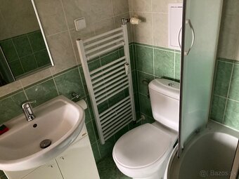 1 izbový byt , garsonka prenájom - 9